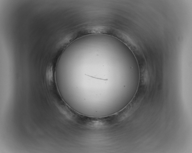 X0000113070310200909041103