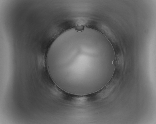 X0000113070313200909041103