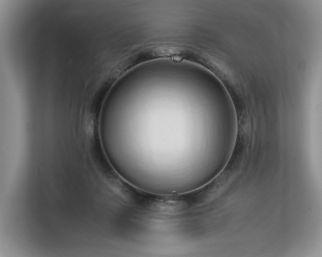 X0000113070315200909041103