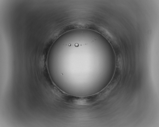 X0000113070318200909041103