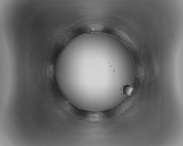 X0000113070321200909041103