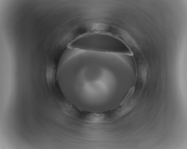 X0000113070328200909041103