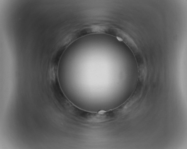 X0000113070329200909041103