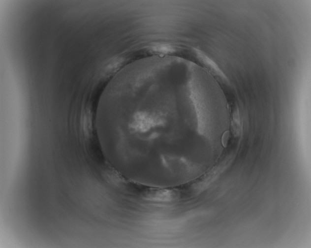 X0000113070330200909041103