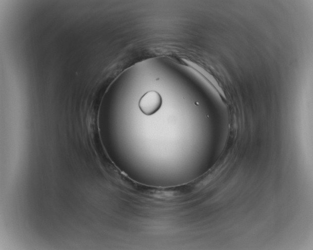 X0000113070332200909041103