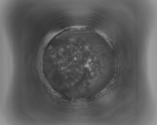 X0000113070337200909041102