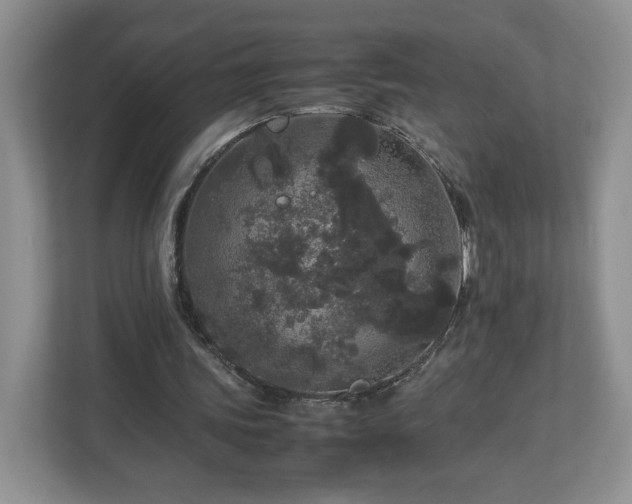 X0000113070339200909041102