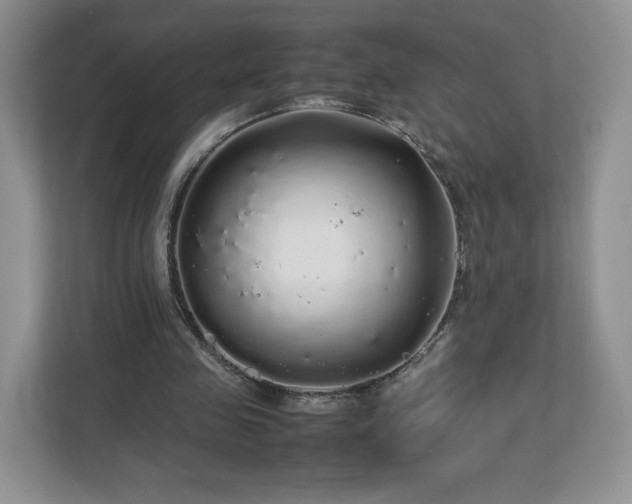 X0000113070341200909041102