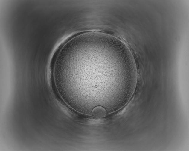 X0000113070342200909041102