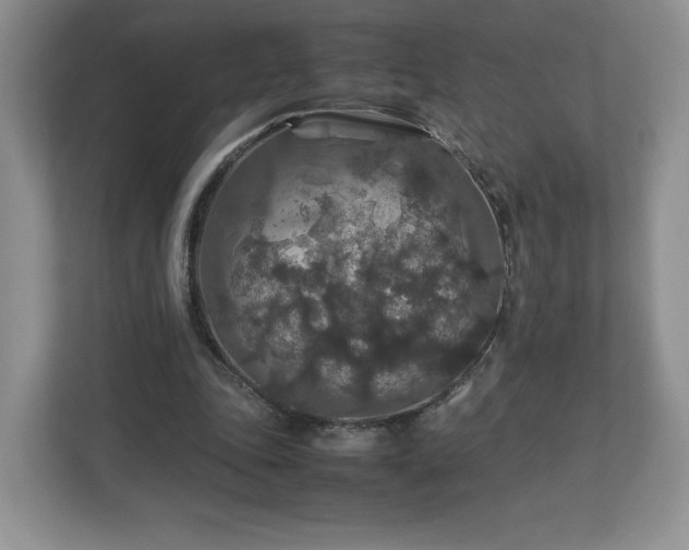 X0000113070343200909041102