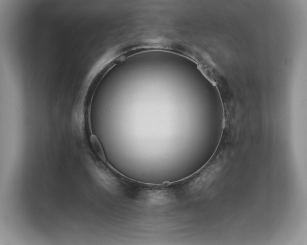 X0000113070344200909041102