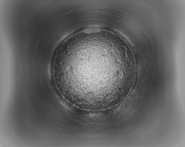 X0000113070345200909041102