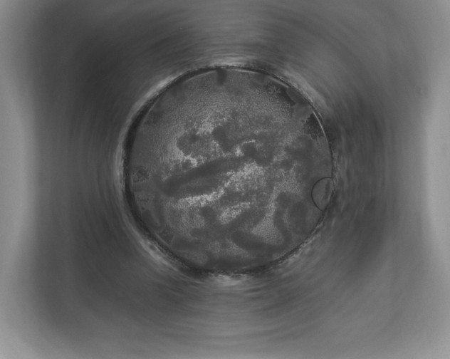 X0000113070346200909041102