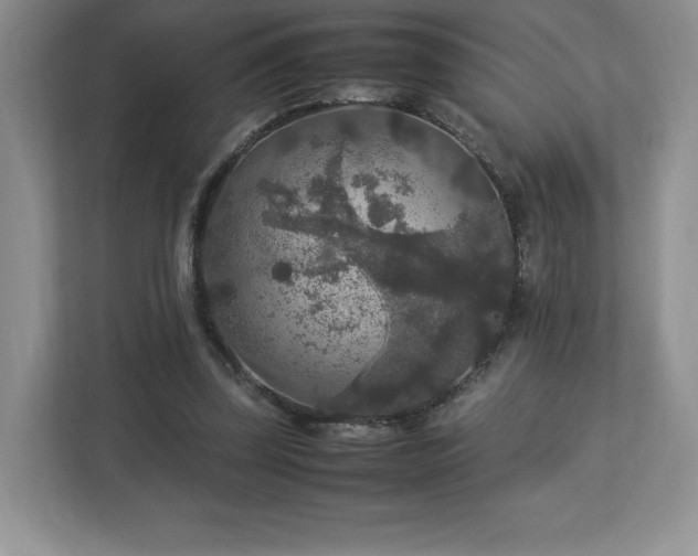 X0000113070347200909041102