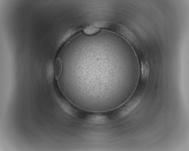 X0000113070348200909041102