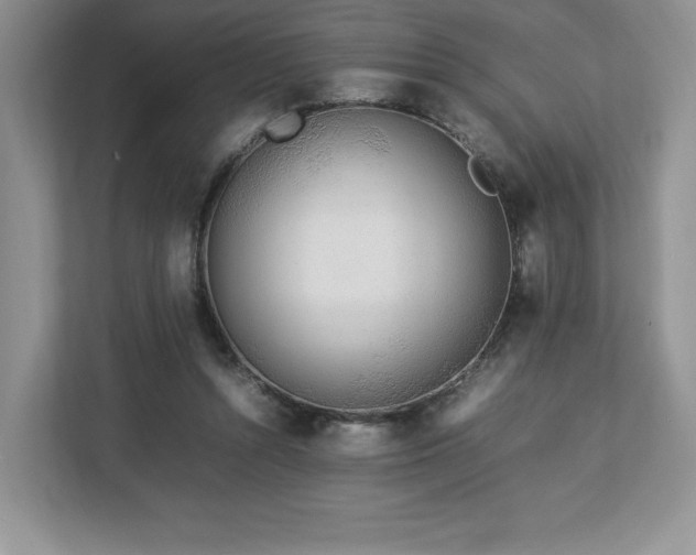 X0000113070352200909041102