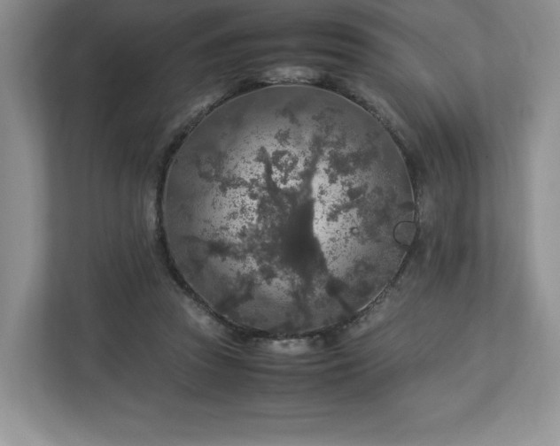 X0000113070353200909041102