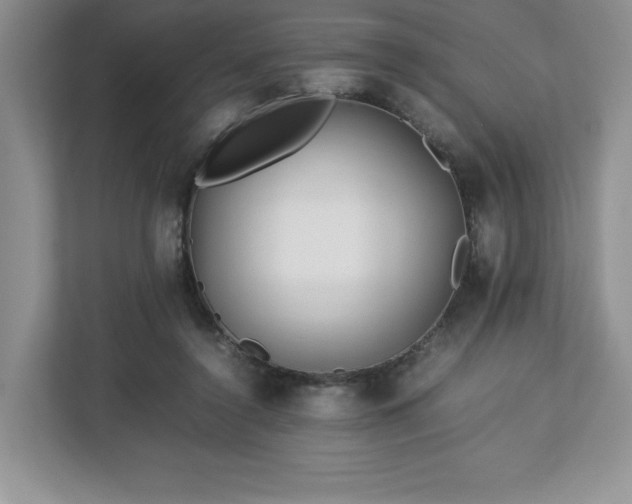 X0000113070356200909041102