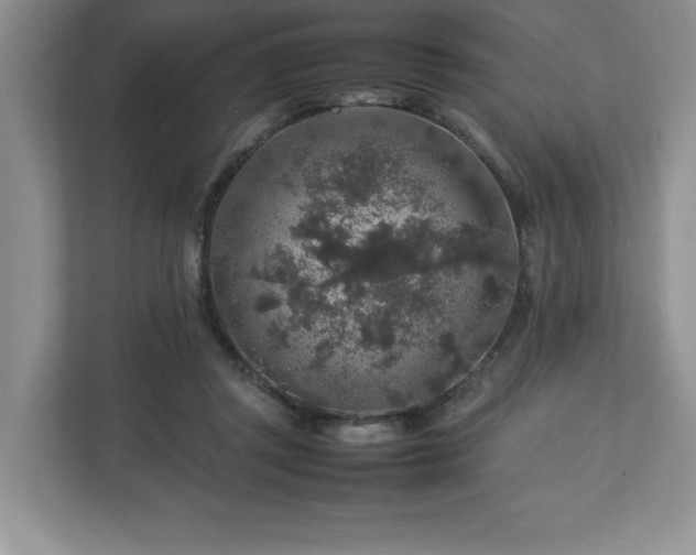 X0000113070357200909041102