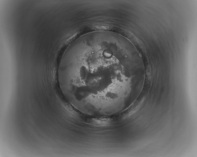 X0000113070359200909041102