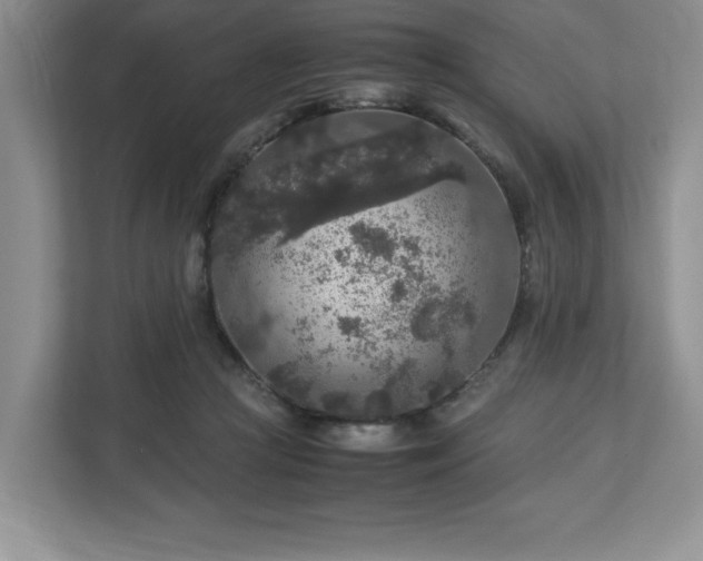 X0000113070361200909041102