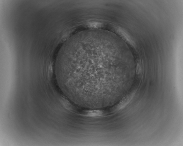 X0000113070363200909041102