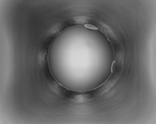 X0000113070364200909041102