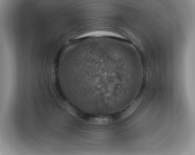 X0000113070366200909041102