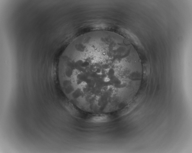 X0000113070369200909041102