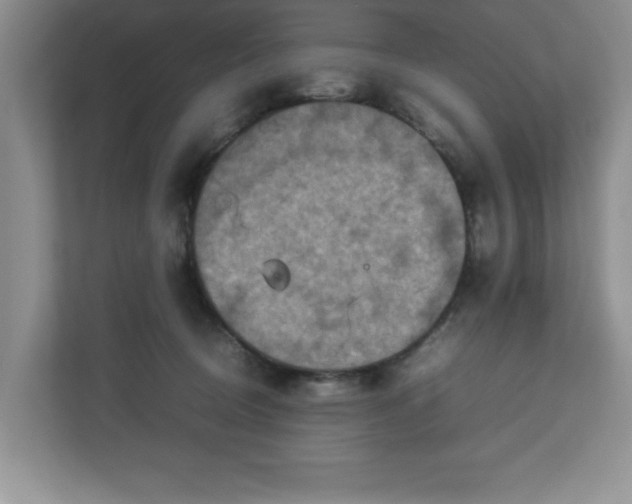 X0000113070370200909041102