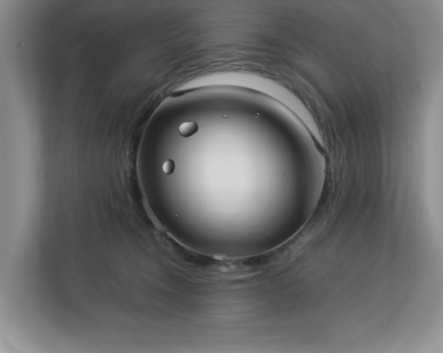 X0000113070372200909041102