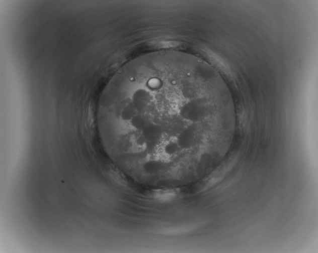 X0000113070373200909041102