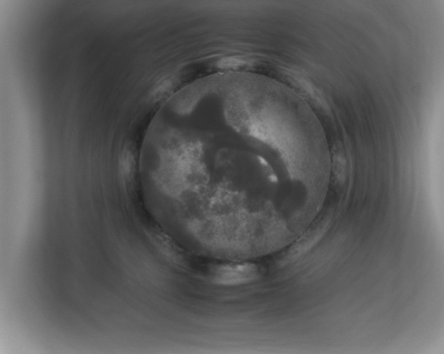 X0000113070375200909041102