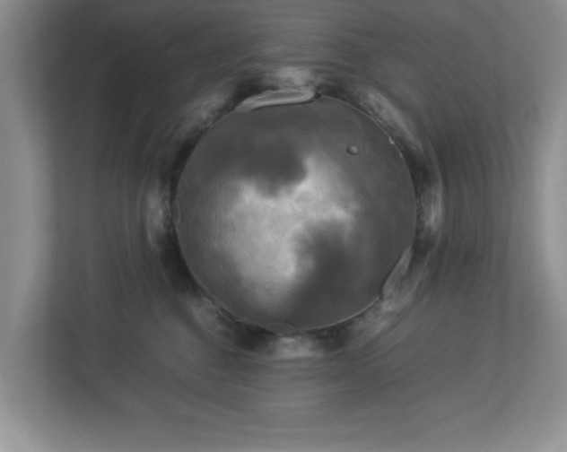 X0000113070376200909041102