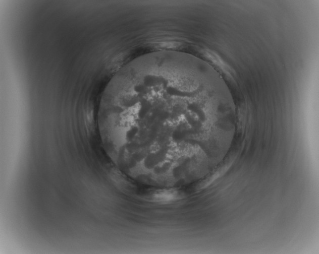 X0000113070377200909041102