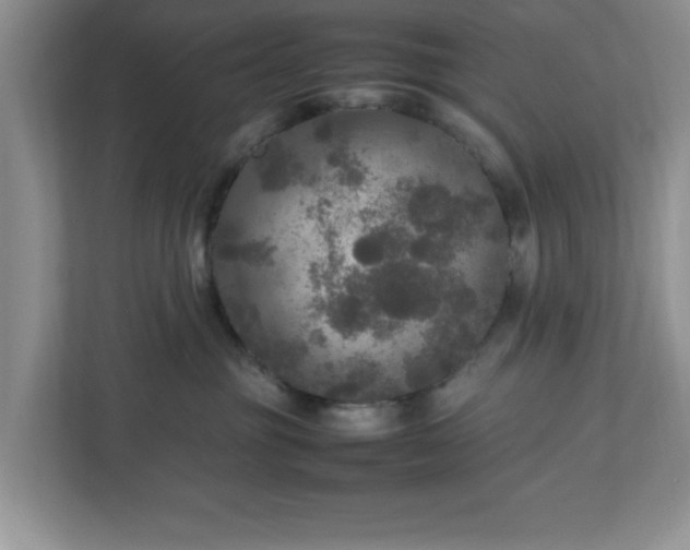 X0000113070381200909041103