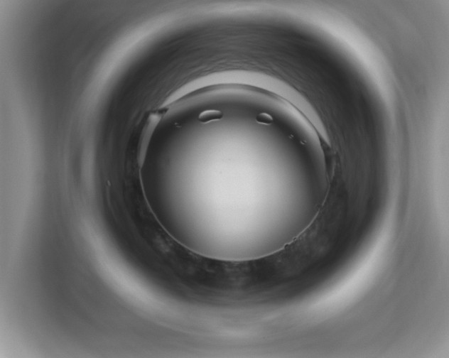 X0000113070382200909041103