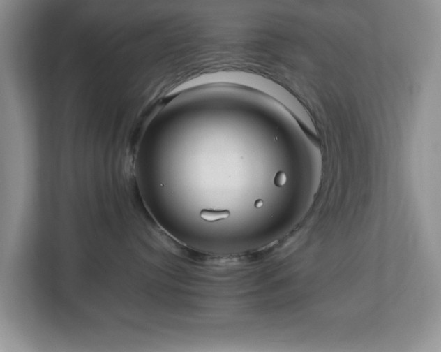 X0000113070384200909041103