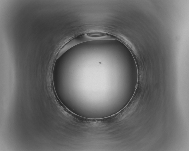 X0000113070385200909041102