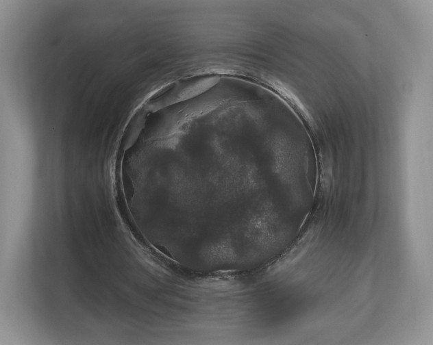 X0000113070386200909041102