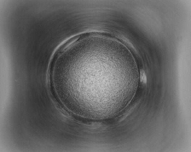 X0000113070388200909041102