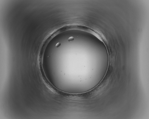 X0000113070389200909041102