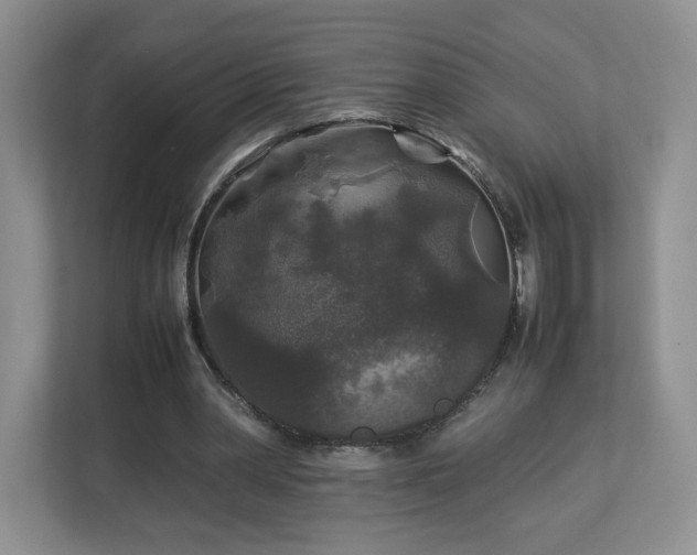 X0000113070390200909041102