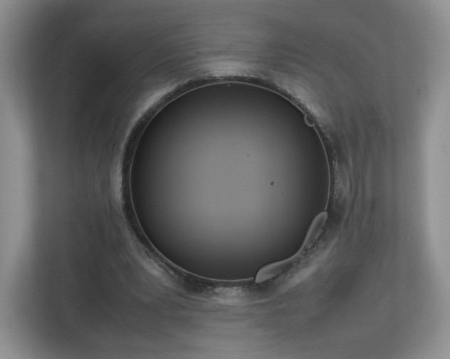 X0000113070391200909041102