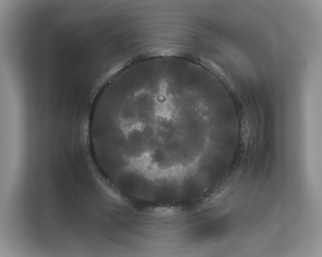 X0000113070394200909041102