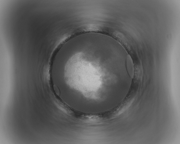 X0000113070395200909041102