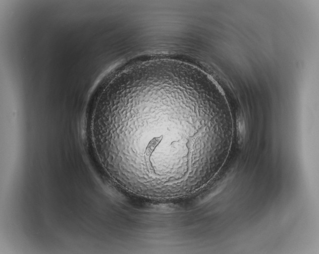 X0000113070396200909041102