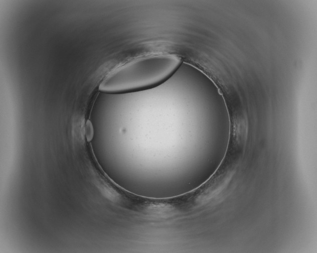 X0000113070397200909041102