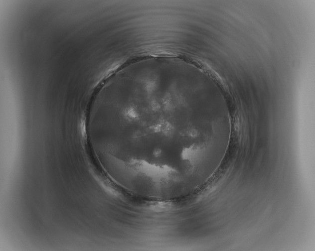 X0000113070398200909041102