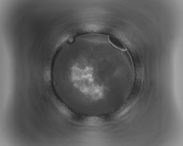 X0000113070399200909041102